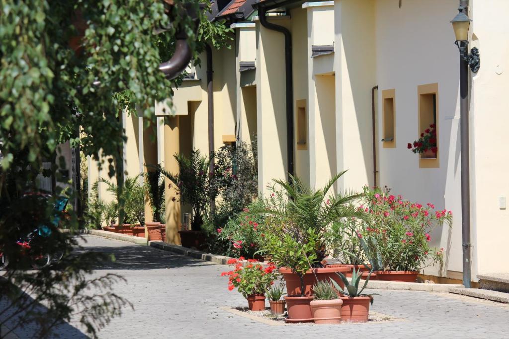Levanda Panzio Kophaza Экстерьер фото